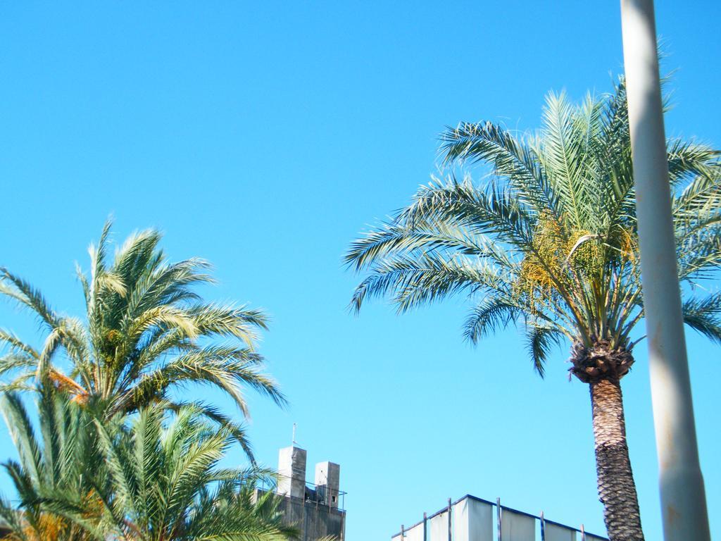 Appartamento Vacanze I Provenzali Bordighera Dış mekan fotoğraf